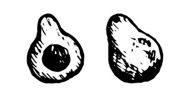 Avokado çizimi. Beyaz arkaplanda izole edilmiş vektör illüstrasyonu