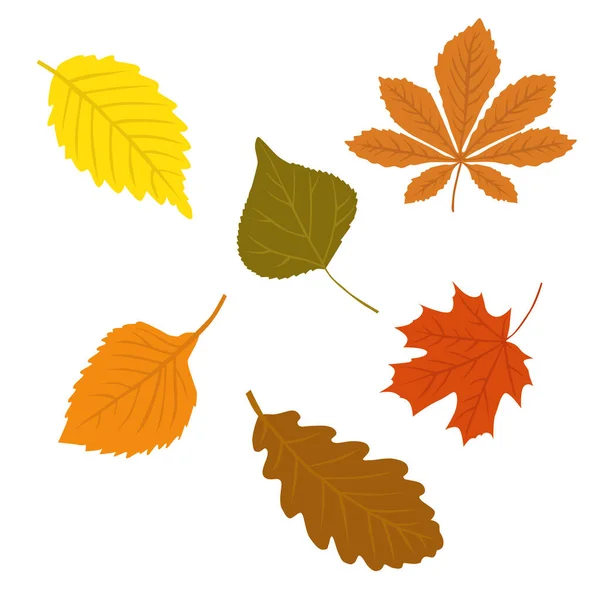 Doğal şükran günü renkli sonbahar yaprakları