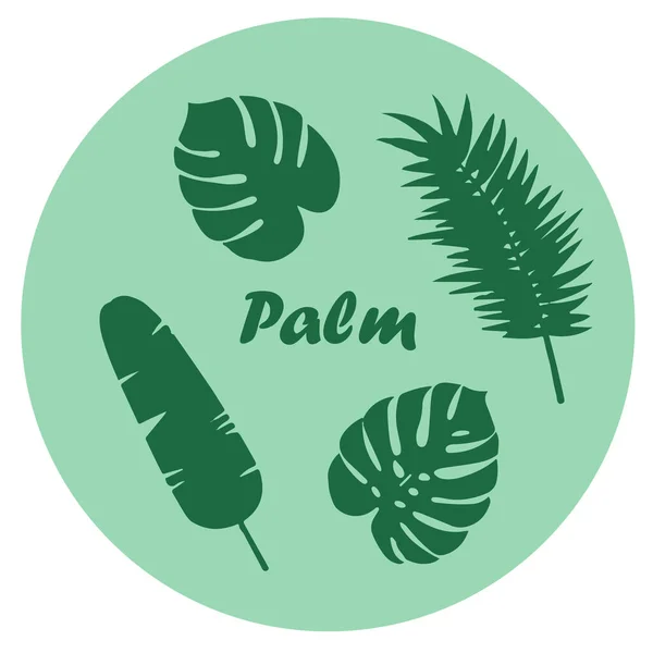 Palmiye yaprakları seti doğa bitkisi