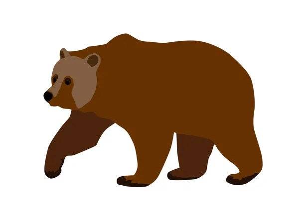 Urso — Vetor de Stock