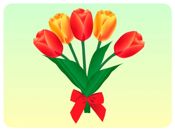 Tulips — Stock Vector