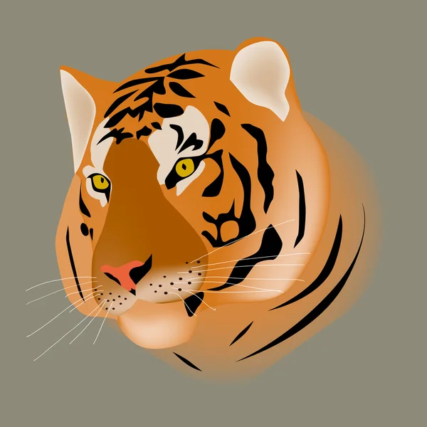 Tiger Vektorgrafik