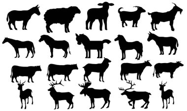 Hayvanlar, Büyük Çiftlik Böceği ve Kelebek Şirin Renkli Egzotik Hayvanlar, soyut renkli balıkların kusursuz desenlerini Büyük Denizci Hayvanları setine koymuşlar.