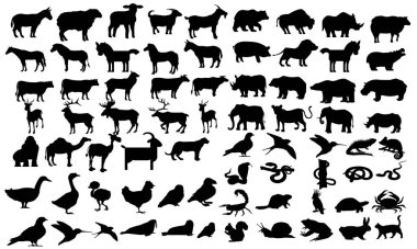 Hayvanlar, Büyük Hayvanların Sevimli Hayvanlar setini kurdu. Tavşan başlı çiftlik hayvanı seti izole edildi. Suluboya arkaplan çizimi çizgi film hayvan seti şirin hayvan koleksiyonu, bebek hayvanlar, hayvan vektörü Büyük hayvanlar seti 91 sevimli hayvan çizgi film seti