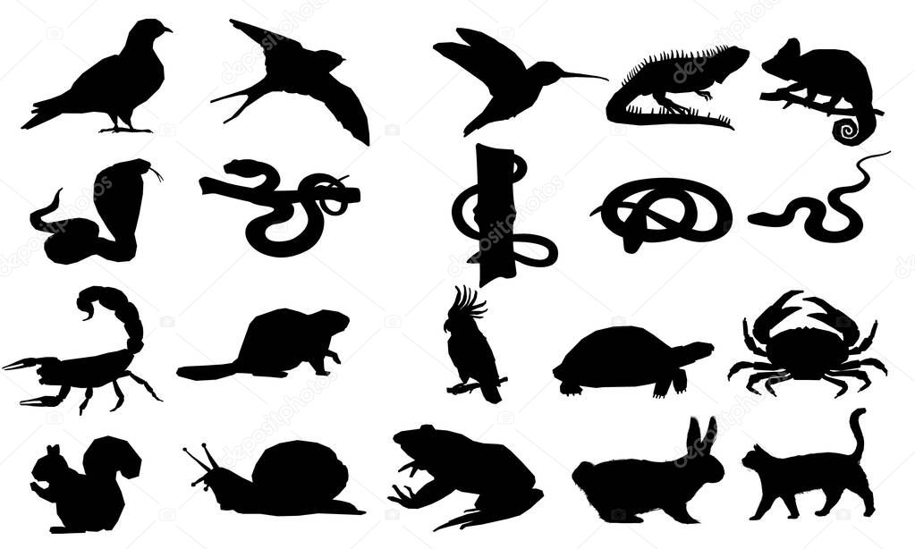 Animals Set Vector Illustration Beauty On Butterfly Side View Design Flat four color minimal icon set Extra big animals and birds set Forest animals set Butterfly set Monster set Two classmates building miniatures at science class. Dog Silhouettes