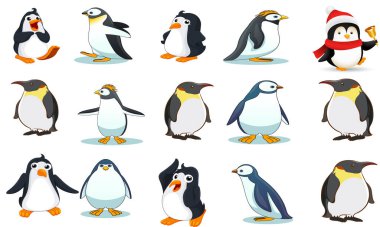 Çam ağacı dalları, yaygın deniz dikenleri ve Noel süslemeleriyle bembeyaz masa başı Noel süslemeleri ve köknar dallarıyla bembeyaz yatıyordu. Mükemmel Noel arkaplanı 