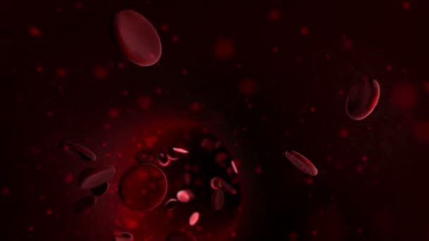 Infektion kleiner Blutzellen durch Viren — Stockvideo