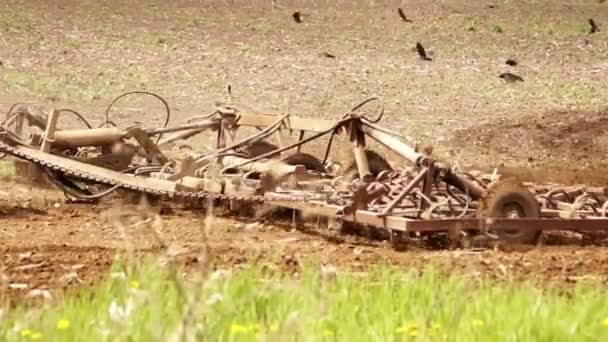 Der Pflug pflügt den Boden, aus nächster Nähe — Stockvideo