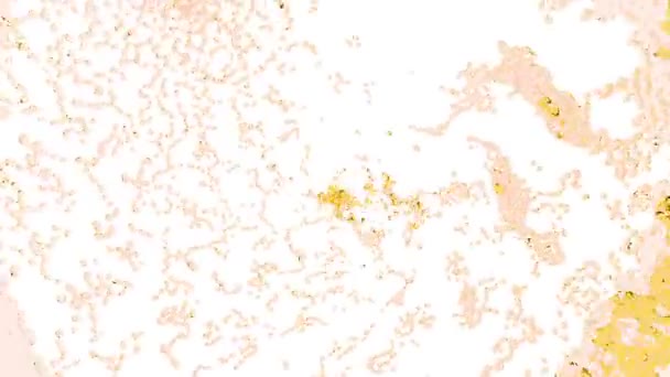 Schöne gelb orange Farbe Wasserwirbel — Stockvideo