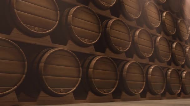 Винный погреб с деревянными бочками с элитным виски, пивом или другими алкогольными напитками — стоковое видео