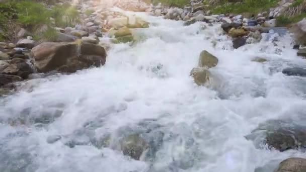 Rápida corriente de arroyo y rocas río que fluye a través de cascada de las piedras — Vídeo de stock