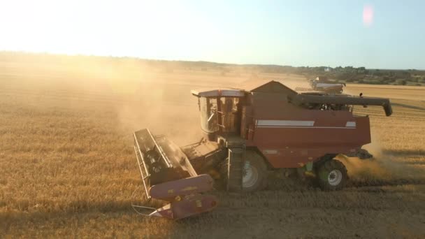 Combine harvester at work on the harvest against the background of a sunset sky — Stock Video