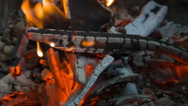 Brennholz brennt im Feuer — Stockvideo