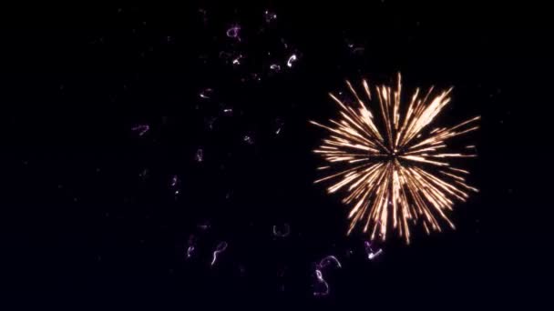 Esplosioni di fuochi d'artificio variopinte con cuore in finale allo sfondo nero — Video Stock