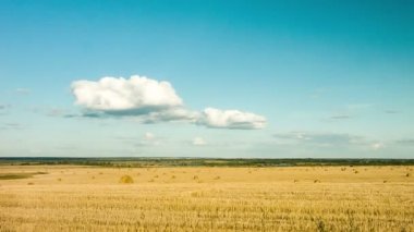 Doğa, bir alan buğday, saman, bulutlar, timelapse güzelliği