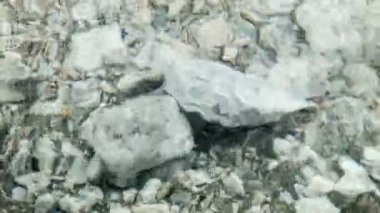 Şaşırtıcı açık dağ dere, yakın çekim