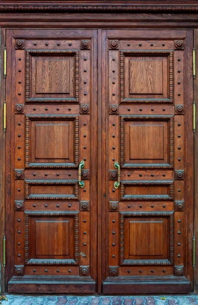 木雕漂亮的门与金属柄 — 图库照片