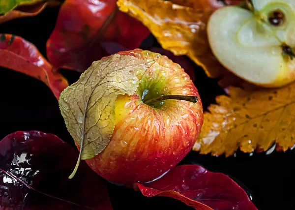 Manzanas Con Hojas Otoño Sobre Fondo Negro — Foto de Stock