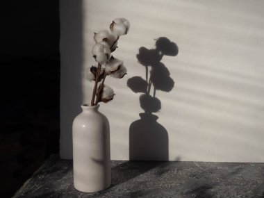 Masadaki beyaz vazoda bir pamuk filizi. Siyah fotoğraf.