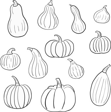 Kabakların karalama tarzında doğrusal vektör görüntüsü.