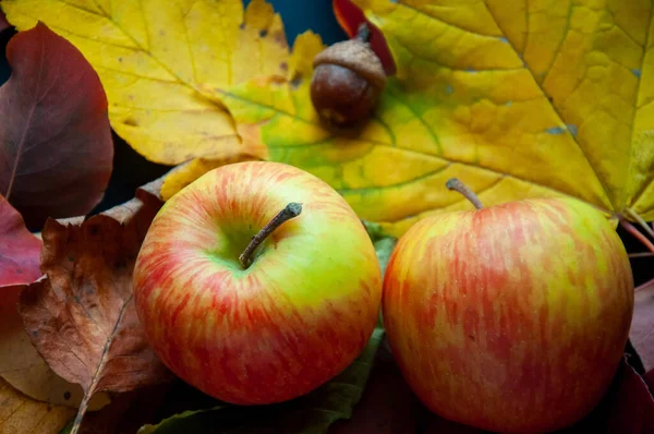Jabłka Jesiennymi Liśćmi Czarnym Tle — Zdjęcie stockowe