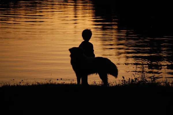 Jongen en zijn hond — Stockfoto