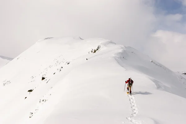 Snowshoeing — Stok fotoğraf