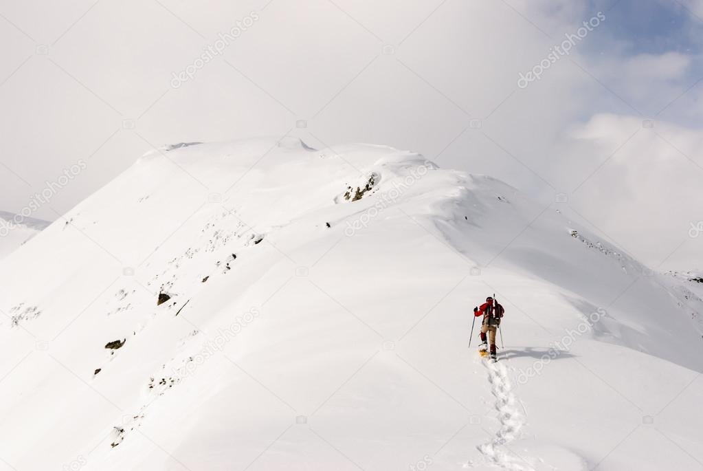 Snowshoeing