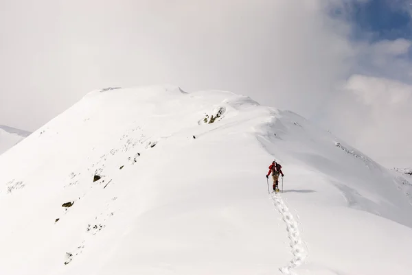 Snowshoeing — Stok fotoğraf