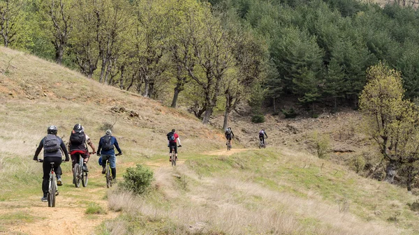 Grupo de ciclistas de montaña en el bosque . — Foto de Stock