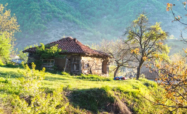 Starý dům adobe ráno. Stock Fotografie