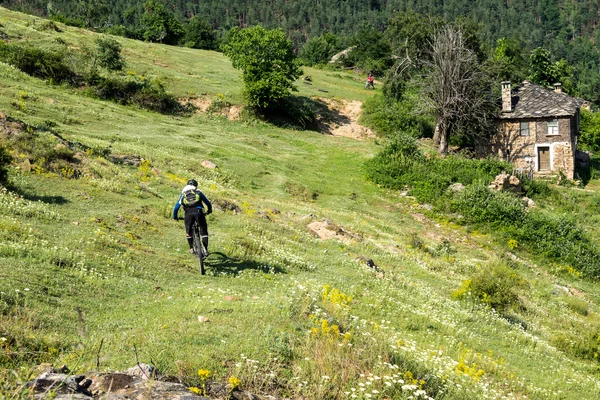 Mountain biking in Rhodope mountain, Bulgaria. — Stockfoto