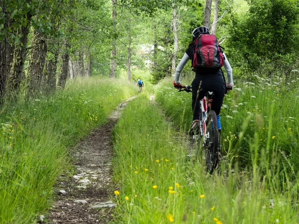 Woman riding mountain bike in the forest. Rechtenvrije Stockfoto's