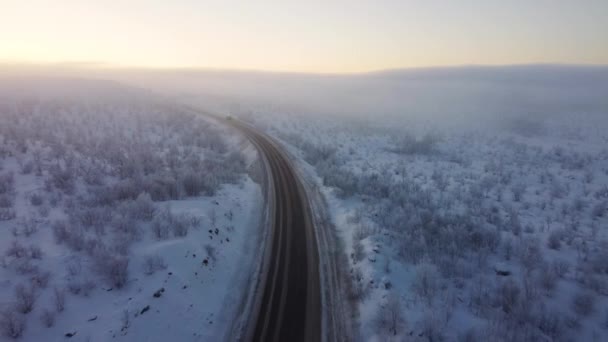 道路と冬の森の上の航空便 冬の風景や雪に覆われた木 冬の森を望む雪の木の枝 空中映像 — ストック動画