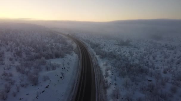 道路と冬の森の上の航空便 冬の風景や雪に覆われた木 冬の森を望む雪の木の枝 空中映像 — ストック動画