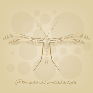 Bir kelebek arka plan doku eski kağıt üzerinde taslağını vektör