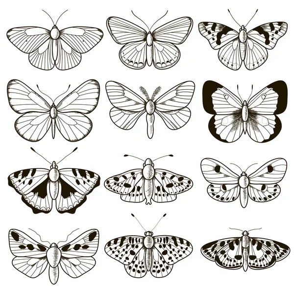 Papillon vintage pour scrapbooking . — Image vectorielle