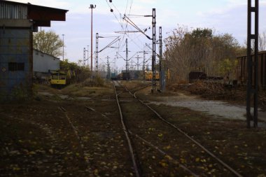 Eski demiryolu. Eski terk edilmiş bir demiryolu. Eski tren rayları ve sarı yapraklar..