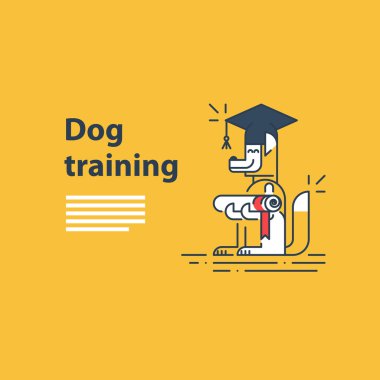 kelimenin tam anlamıyla köpek eğitim hizmeti için