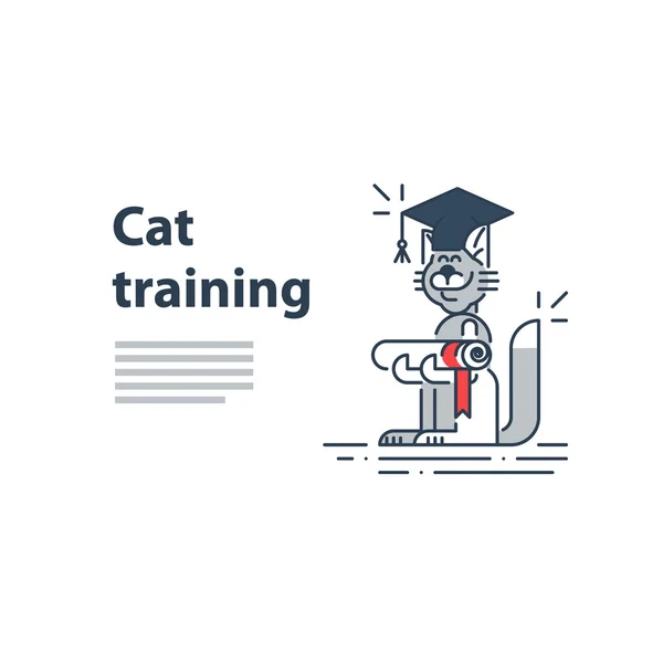 Macska képzési szolgáltatás — Stock Vector
