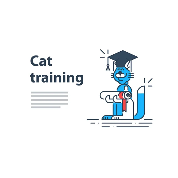 Usługa szkolenia kota — Wektor stockowy