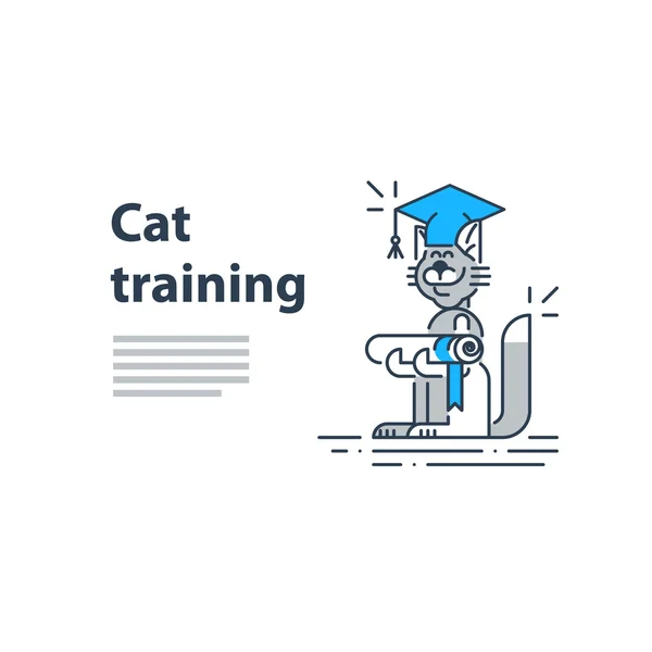 Serviço de formação de gatos —  Vetores de Stock