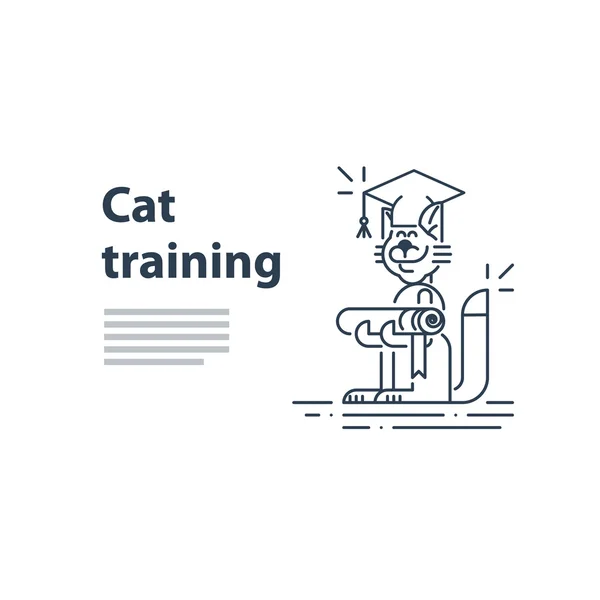 Serviço de formação de gatos —  Vetores de Stock