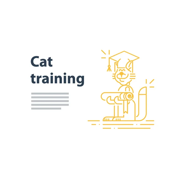 Usługa szkolenia kota — Wektor stockowy