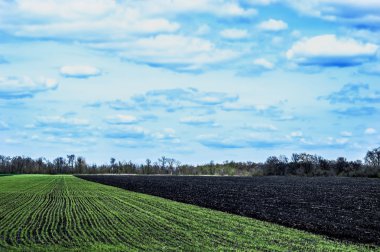 Mavi Gökyüzü bulutlu yeşil ve siyah alanlar üzerinde