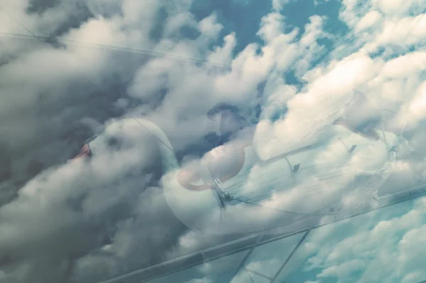 Swan in the clouds reflected in the glass of transport — Stock Photo, Image