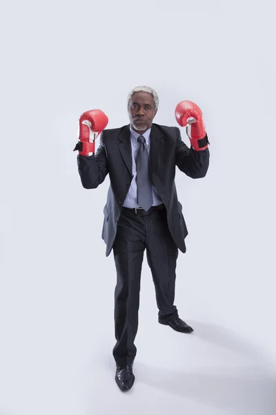 Invecchiato uomo d'affari guanti da boxe su grigio — Foto Stock