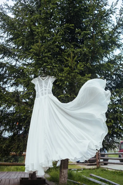 Hochzeitskleid Aus Weißer Spitze Hängt Einem Kleiderbügel Grünen Baum Stilvolle — Stockfoto