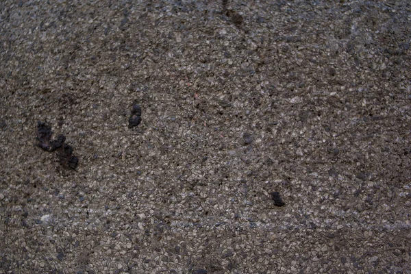 Rock Textur Hintergrund Steinstruktur Mit Mehrfarbigen Punkten Figur Altes Zementbodenmuster — Stockfoto