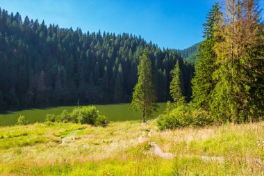 Romanya 'nın Lacu Rosu Gölü yakınlarındaki yaz manzarası, Transilvanya